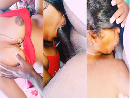 Telugu Wife Blowjob and Fucking