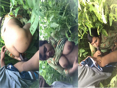 Bangladeshi CPl OutDoor Fucking (Updates)