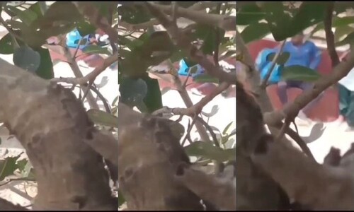 Cute Indian Girl Blowjob Caught