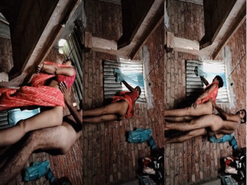 Sexy Bihari Cpl Standing Fucking (Updates)