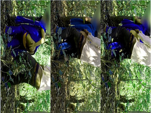 Indian Cpl Fucking In Jungle