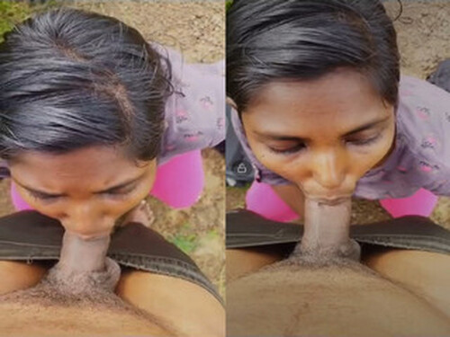 Indian Tamil Girl Sucking Dick