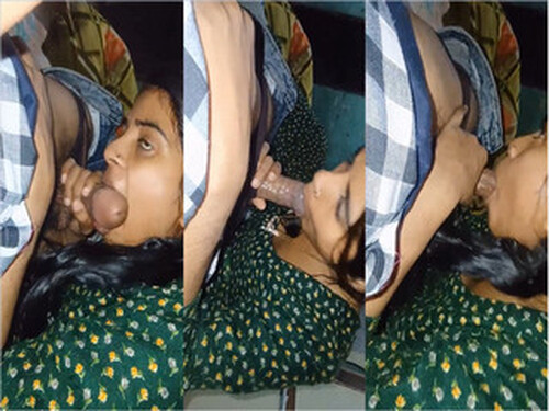 Indian Vlg Wife Blowjob and Fucking Part 2