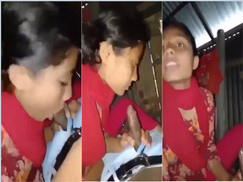 Cute Indian Girl Sucking Lover Dick