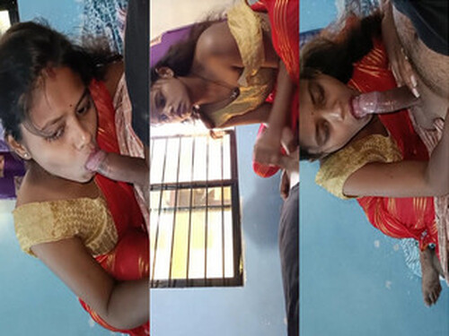 Sexy Indian Wife Blowjob and Fucking Part 3