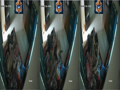 Jija Sali Fucking Clip Capture