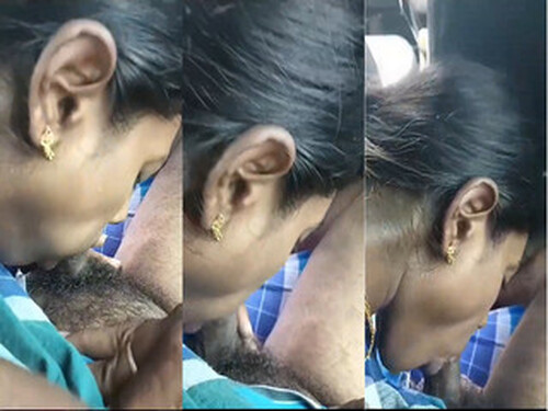 Sexy Indian Wife Blowjob