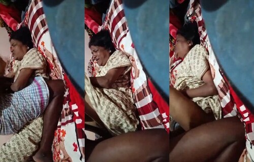 Telugu Mature Aunty Fucking