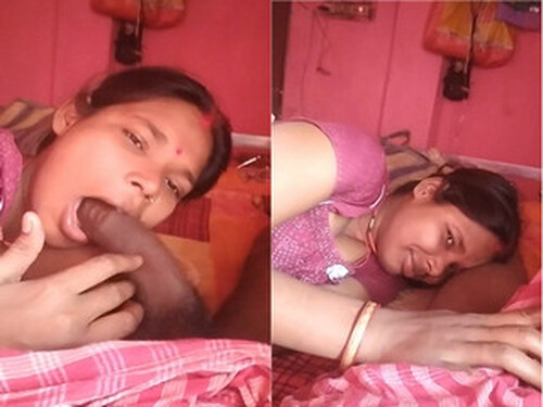 Indian Boudi Sucking Dick